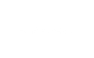 sxt.media